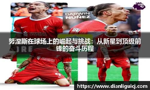 努涅斯在球场上的崛起与挑战：从新星到顶级前锋的奋斗历程